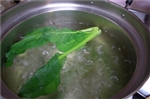 青菜の色 綺麗,青菜 氷水