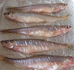 魚料理,天ぷら 油はね 脱水シート